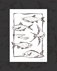 Image 2 of ‚FISH SQUARE‘ PRINT