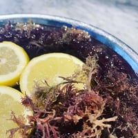 Image 4 of Carrageen Wild Crafted Sea Moss