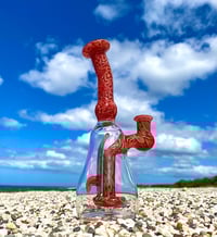 Image 1 of Algae Colab Surf Board In a Bottle Brain Rig 
