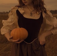 Image 2 of Chestnut Corset