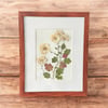 Genuine White Chrysanthemum Wildflower Art In 8" X 10" Frame (Item# 2022068)
