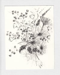 Botanical sketch no. 2