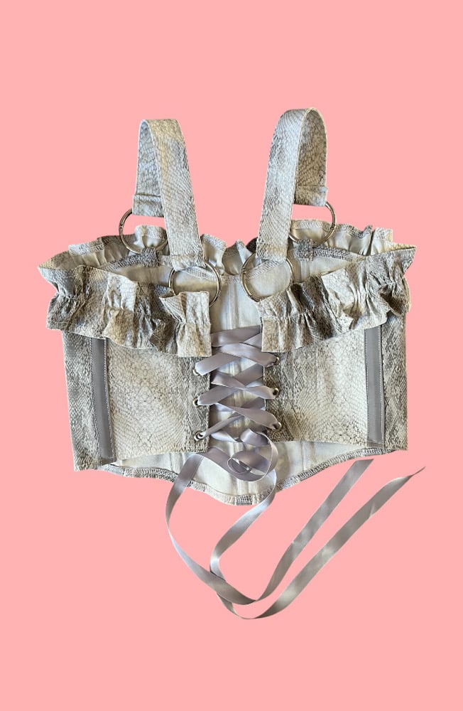 Image of Silver Snake corset
