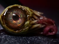 Image 6 of Custom Handmade Opal Eyed Pendant|Opal Eyed Cyclops Pendant|Handmade|OOAK| Morgans Mutations