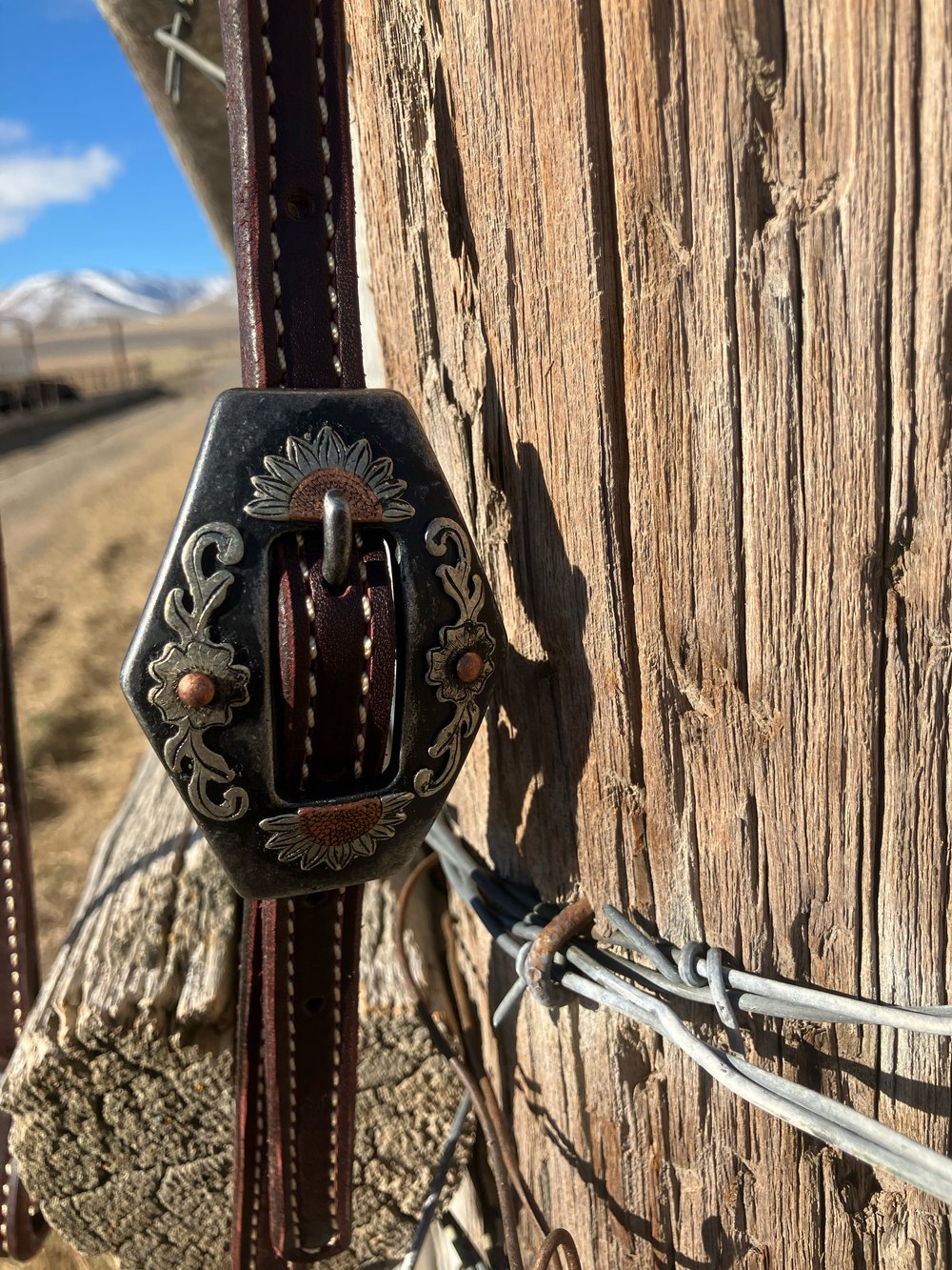 Image of 5/8” Sunflower Sliding Ear Headstall