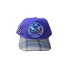 Art Of Fame/ Charlotte Hornets/ Purple/ Flannel Brim Vintage 5-Panel Hat