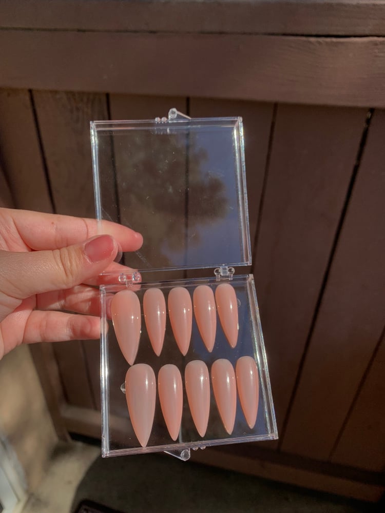 Image of Natural Nude Nails ( Long Stiletto)