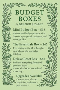 Image 1 of Budget Binder boxes