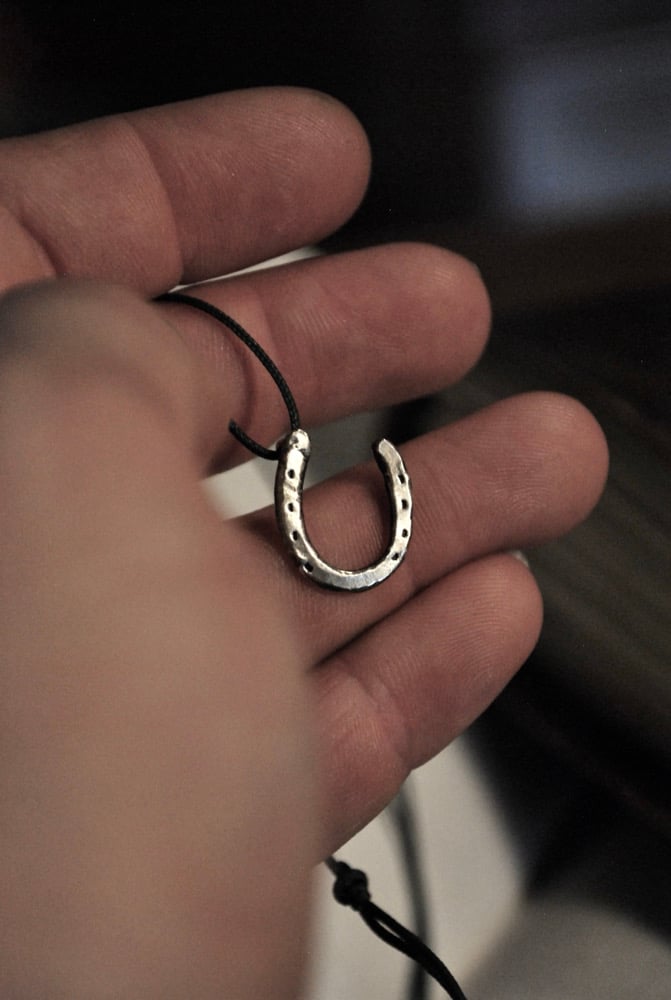 Image of Wild horses