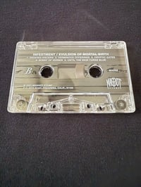 Image 4 of INFESTMENT -“ Evulsion Of Mortal Birth”