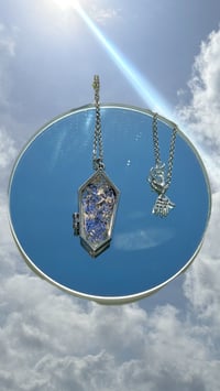 Image 1 of Portal
