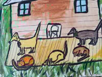 Image 11 of Dogs And Cat On Porch