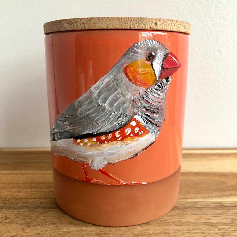 Zebra Finch Canisters