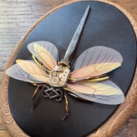 Image 4 of Coffin nail time fly (4 x 5  inches)