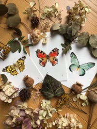 Image 1 of Wings of wonder (Bundle of 3)