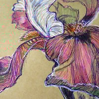 Image 2 of IRIS_PRINT_SMALL ART