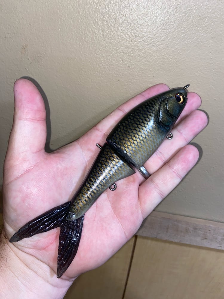 6.5” shiner profile glide bait 