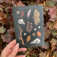 Image 1 of Woodland Offerings A6 Sticker Sheet