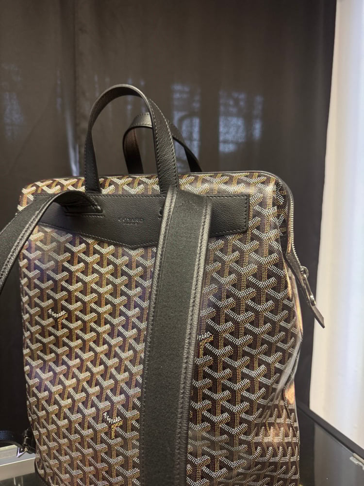 Image of Goyard Calfskin Cisalpin Backpack copy