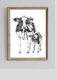 Dairy Cow A4 Print 