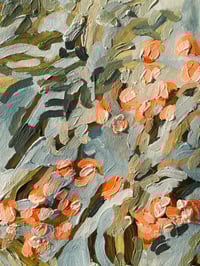 Image 3 of flowering gum | 