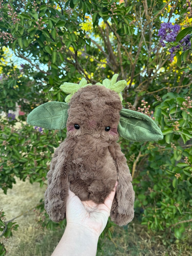 Image of leafy dweller