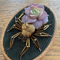 Image 2 of Succulent spider (b, 4x5 inches)