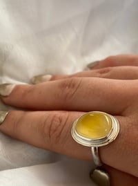 Image 2 of Literal Sunshine 