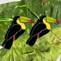 Image 1 of Keel Billed Toucans