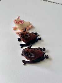 Image 4 of Bats Guardians! (To hang on Walls)