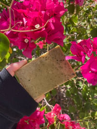 Matcha Bar Soap