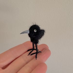 Image of Very Tiny Raven Baby #2