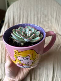 Image 3 of Pulidos Echeveria in Disney Princess 'Aurora' Mug