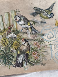 Image 13 of Anciens albums à cartes postales