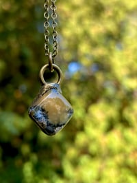 Image 3 of Autumn Light