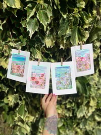 Image 1 of Little Summer Studies 