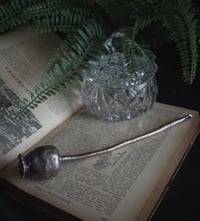 Image 2 of Hairpin made of real poppy seed pod