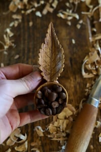 Image 8 of Cherry Leaf Scoop