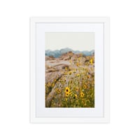 Image 4 of Yellow Mountain Wildflowers
