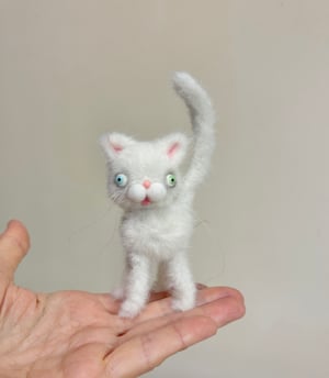 Image of Tiny Alley Cat #4