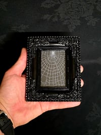 Image 1 of Gothic black framed preserved web