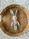 Mini bunny 1