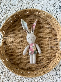 Image 1 of Mini bunny 1