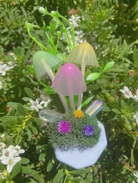 Image 3 of Mush Nightlight 🧚🏻✨