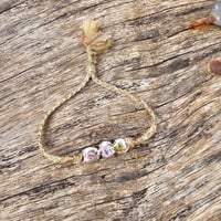 Image 1 of Silver Salad 01