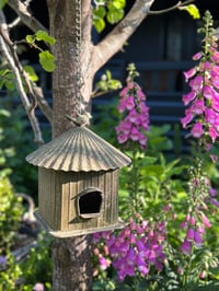 Image 1 of Hanging Birdhouse Short 
