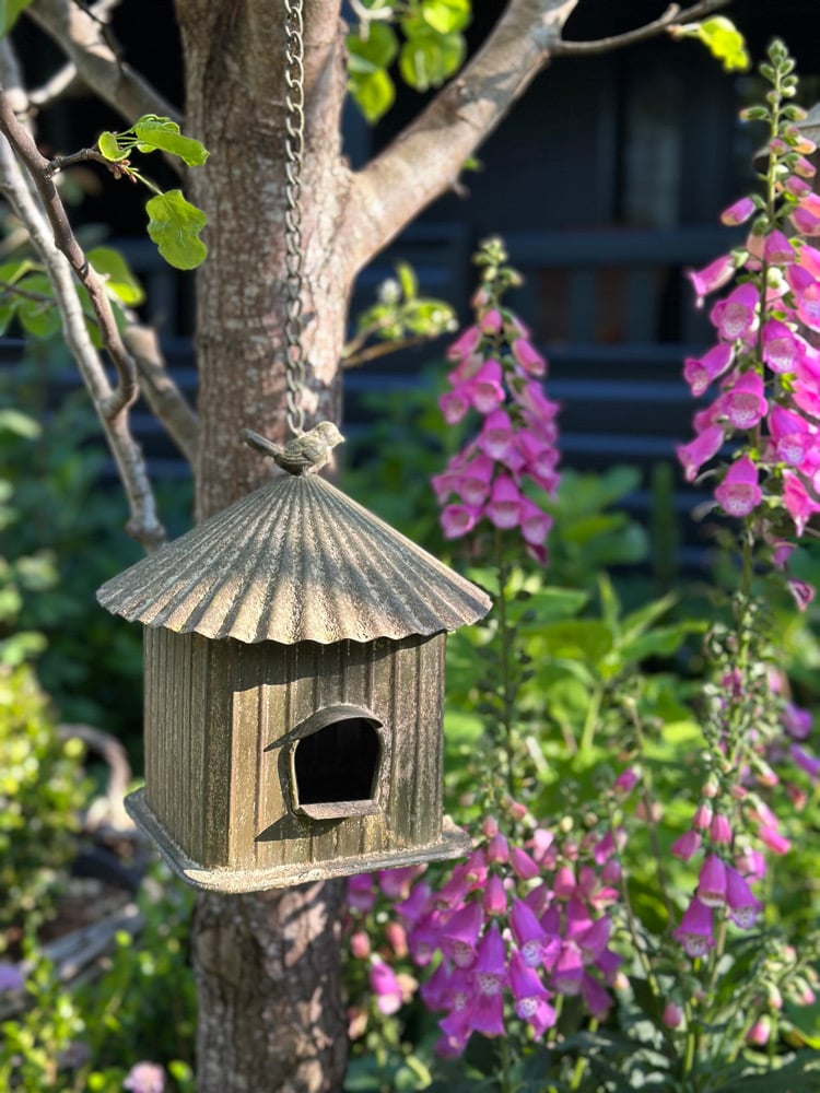 Image of Hanging Birdhouse Short 