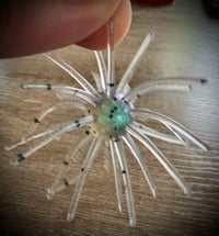 Image 3 of “SWEETGUM” - BOREALIS / METEOR