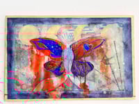 Image 1 of Circle of Life- Ilsa Jiang