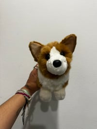 Image 6 of Douglas Dog set